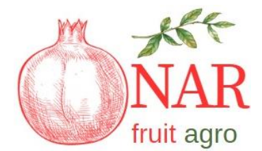 Nar Fruit Agro logo